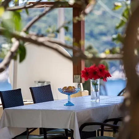 Biba דוברובניק