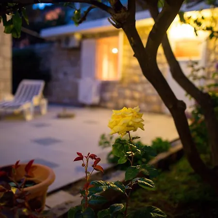 Biba Guest house