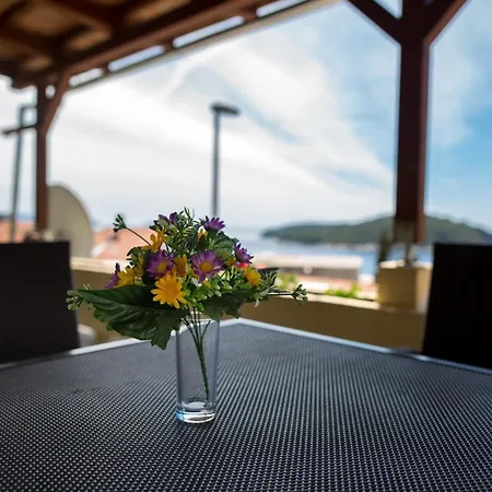 ゲストハウス Biba